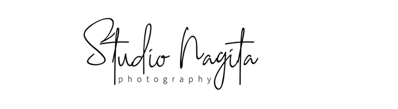 Studio Nagita Photography Logo